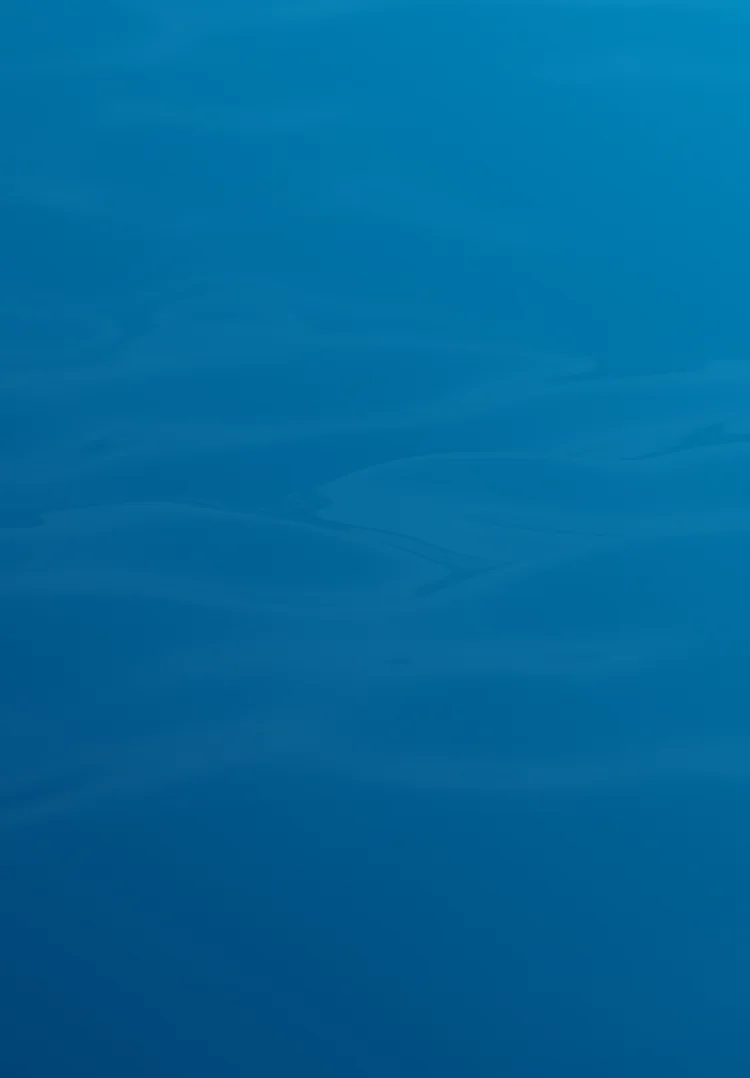 Contact Form Illustration