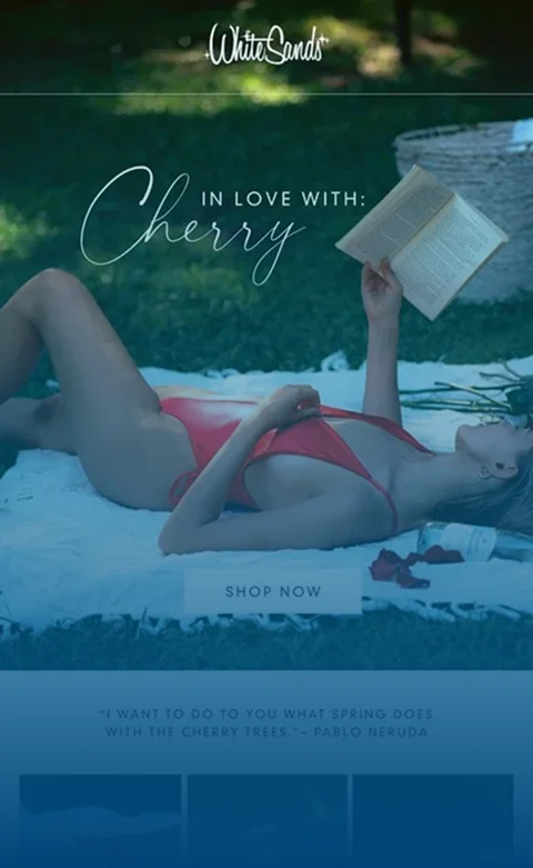 Email Design Service